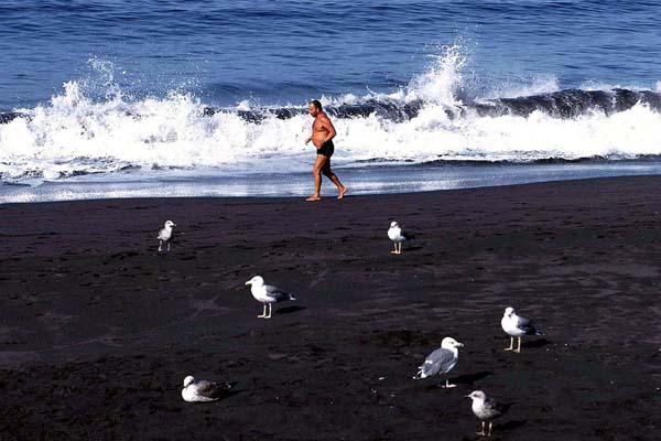 Strandlaeufer La Gomera