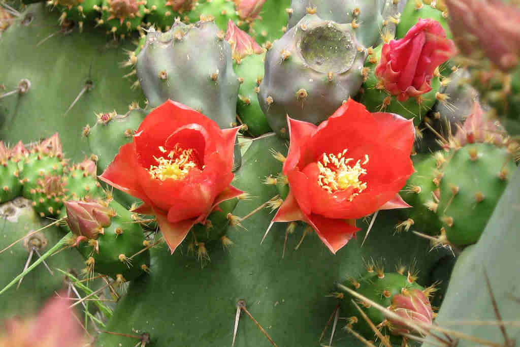 Port d'Andratx-Mallorca